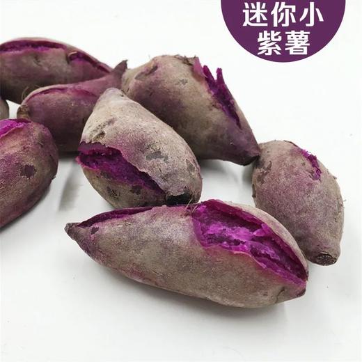 越南农家紫薯迷你新鲜番薯小紫薯仔地瓜红薯生甜红薯5斤装包邮 商品图6