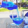 【酷炫秒杀4送1】包邮印尼进口饮料blue可乐 巴厘岛冰蓝色百事可乐梅子味450ml*5瓶 商品缩略图7