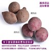越南农家紫薯迷你新鲜番薯小紫薯仔地瓜红薯生甜红薯5斤装包邮 商品缩略图7