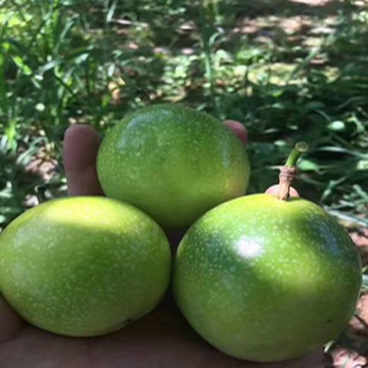 哈尔滨同城落地配送，海南钦蜜黄金百香果，蜂蜜般的香甜多汁 商品图2