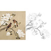 工笔花鸟白描底稿-余稚花鸟-斗方小品册页-YT08 商品缩略图0