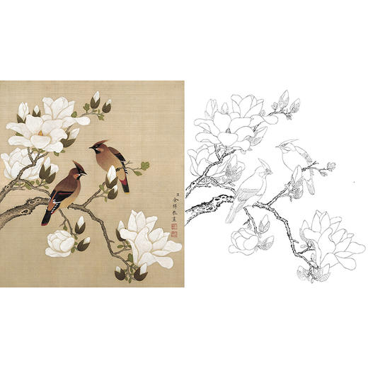 工笔花鸟白描底稿-余稚花鸟-斗方小品册页-YT08 商品图0