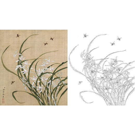 工笔花鸟白描底稿-余稚花鸟-斗方小品册页-YT07 商品图0
