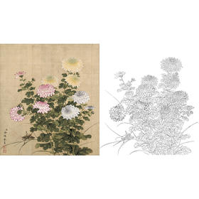 工笔花鸟白描底稿-余稚花鸟-斗方小品册页-YT03