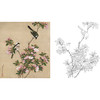 工笔花鸟白描底稿-余稚花鸟-斗方小品册页-YT06 商品缩略图0