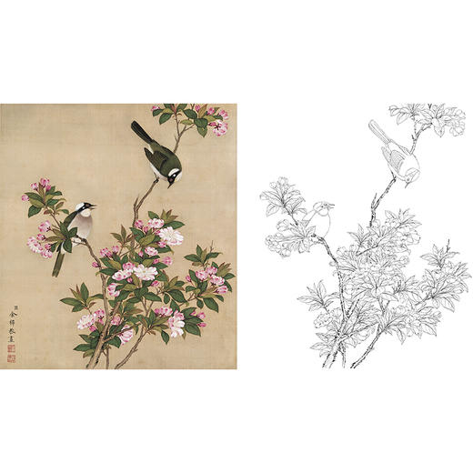 工笔花鸟白描底稿-余稚花鸟-斗方小品册页-YT06 商品图0