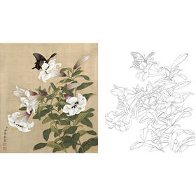 工笔花鸟白描底稿-余稚花鸟-斗方小品册页-YT04