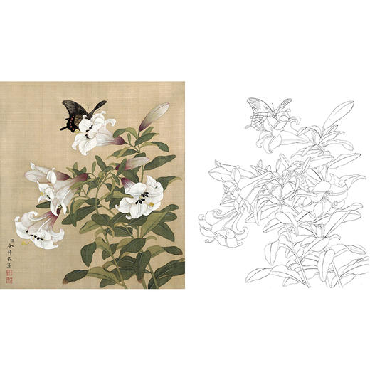 工笔花鸟白描底稿-余稚花鸟-斗方小品册页-YT04 商品图0