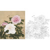 工笔白描底稿-余稚花鸟小品-斗方小品册页-YT11 商品缩略图0