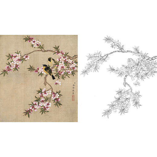 工笔花鸟白描底稿-余稚花鸟-斗方小品册页-YT09 商品图0