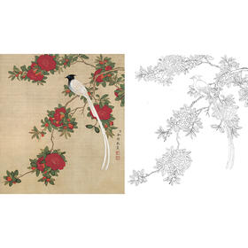 工笔花鸟白描底稿-余稚花鸟-斗方小品册页-YT05