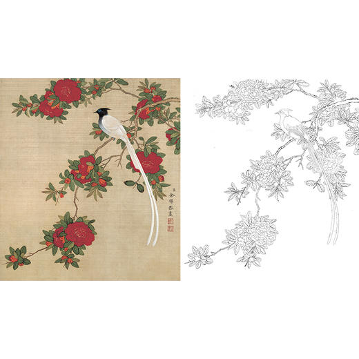 工笔花鸟白描底稿-余稚花鸟-斗方小品册页-YT05 商品图0