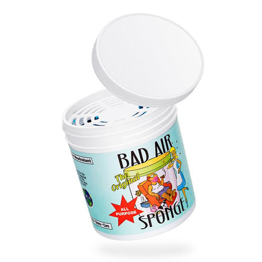 美国Bad Air Sponge空气净化剂室内汽车装修污染孕婴适用 400g/盒 商品图3