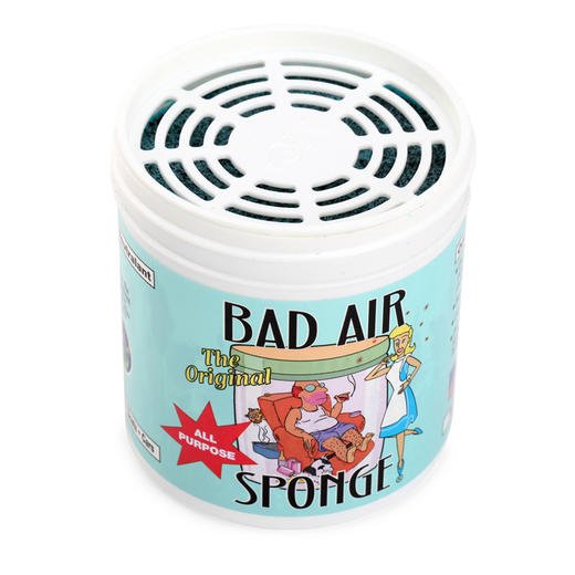 美国Bad Air Sponge空气净化剂室内汽车装修污染孕婴适用 400g/盒 商品图6