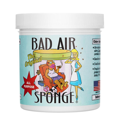 美国Bad Air Sponge空气净化剂室内汽车装修污染孕婴适用 400g/盒 商品图4