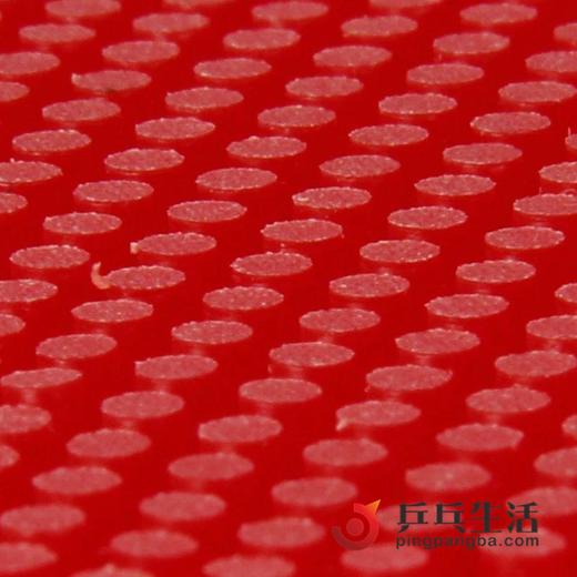 锐驰REACH纳米技术 鬼脚七 大颗粒长胶单胶皮 商品图3