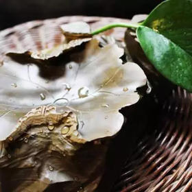 【徐公砚•荷意】中华自然砚，天然石材，全国包邮，精选随机发货！