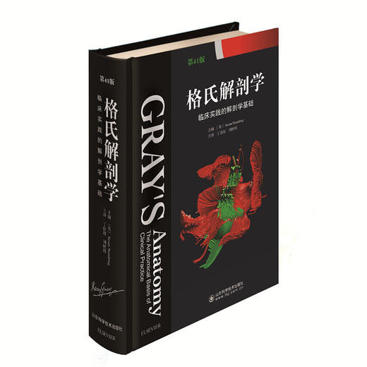 格氏解剖学——临床实践的解剖学基础 （第41 版）  主译 丁自海 刘树伟   山东科学技术出版社 商品图0