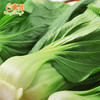东升农场 上海青 鸡毛菜油菜白菜 广州蔬菜新鲜配送 300g 商品缩略图2