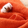 日本进口Airkaol浅野毛巾100%纯棉吸水，上千次耐用吸水，不掉毛柔软洗脸面巾 浴巾 商品缩略图2