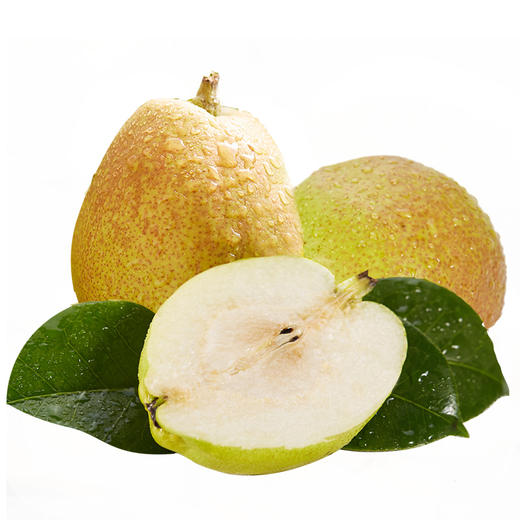 【红香酥梨】陕西新鲜现摘红香酥梨5斤 新鲜水果 梨子香梨脆梨