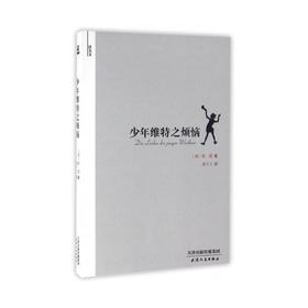 少年维特之烦恼