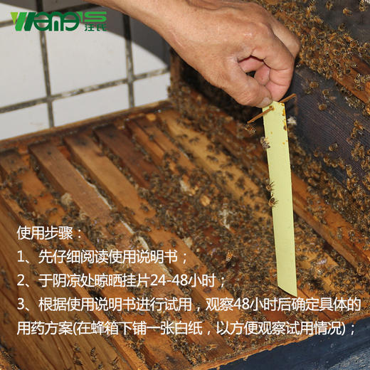 【正品保证】弱群专用不伤蜂温和型汪氏蜂药厂家直销螨敌安全型螨扑正品 商品图1