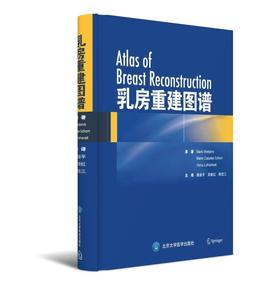 乳房重建图谱  北医社 原著  Mario Rietjens  Mario Casales Schorr  Visnu Lohsiriwat 主译  龚益平 吴新红 韩宝三