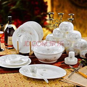 乐享 餐具套装56头陶瓷碗碟套装景德镇骨瓷盘子礼品 白金花语