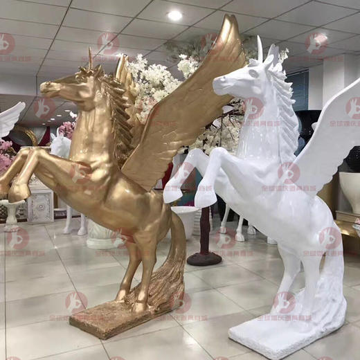 大飞马【运费自理】 商品图1