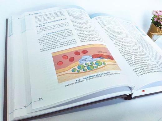 《血管生物学》(第2版)(精) 北医社   董尔丹、张幼怡 主编 商品图1