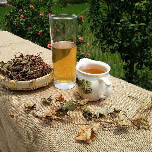 野生鱼腥草凉茶必备乡下折耳根凉茶下火凉茶