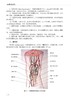 《血管性腿疼》 北医社 主 编： 张宪生 [美]Richard Neville 商品缩略图2