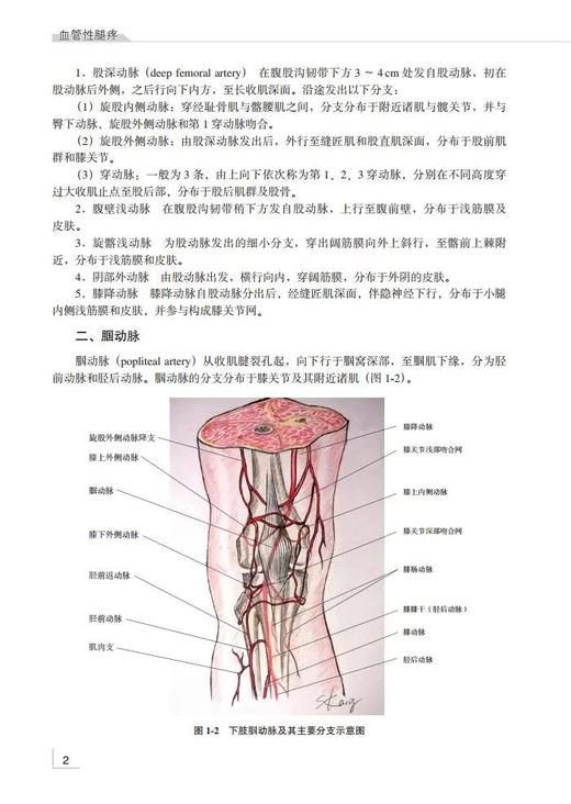 《血管性腿疼》 北医社 主 编： 张宪生 [美]Richard Neville 商品图2