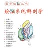 医学绘涂丛书——绘涂系统解剖学 北医社 主编  张卫光 方璇  张凝雨 商品缩略图1