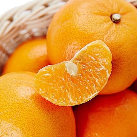 澳洲2PH柑橘（5-6颗，950-1050g左右） 商品图0