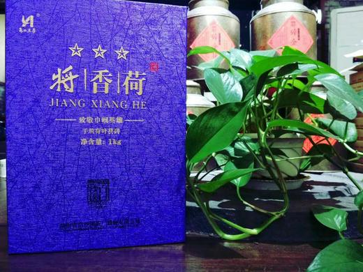 白沙溪将香荷金花茯砖1kg  湖南安化黑茶 荷香茯茶 商品图2