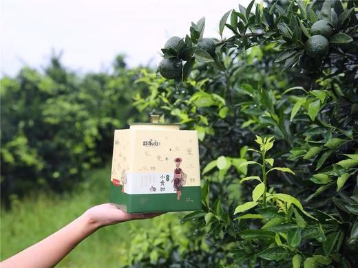 勐乐山2017年宫廷小青柑 商品图4