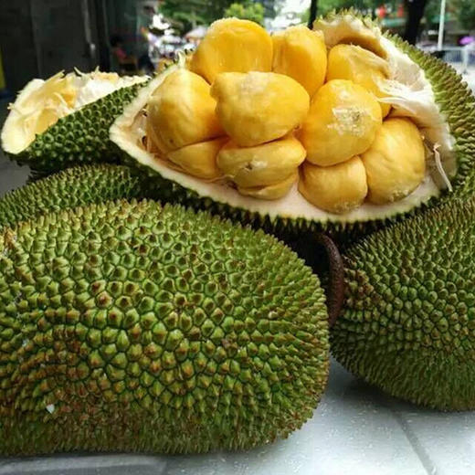 现摘越南榴莲蜜新鲜进口榴莲蜜新鲜水果木菠萝蜜