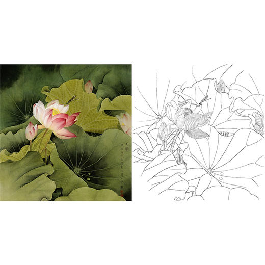 工笔花鸟白描底稿周中耀不染荷花斗方小品册页lq09