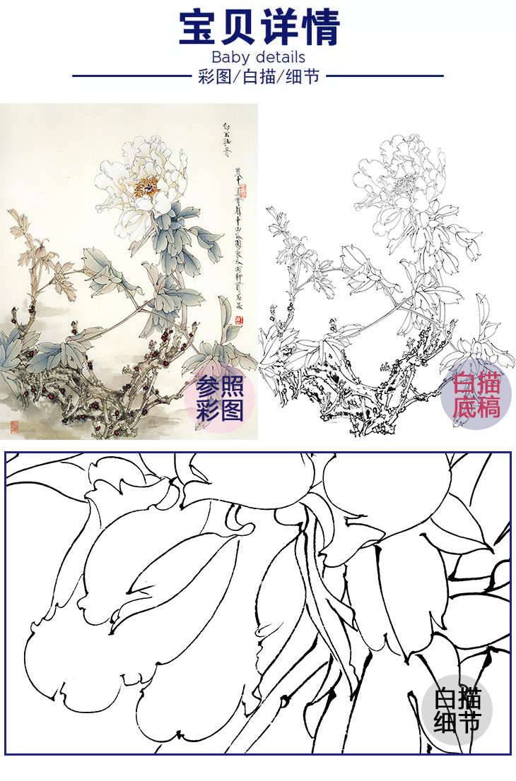 白描底稿工笔花鸟王道中白玉牡丹lq13