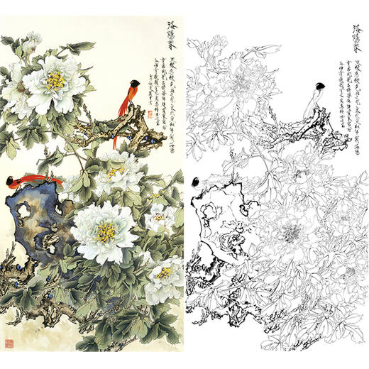 竖幅工笔花鸟白描底稿牡丹王道中洛阳春lq14