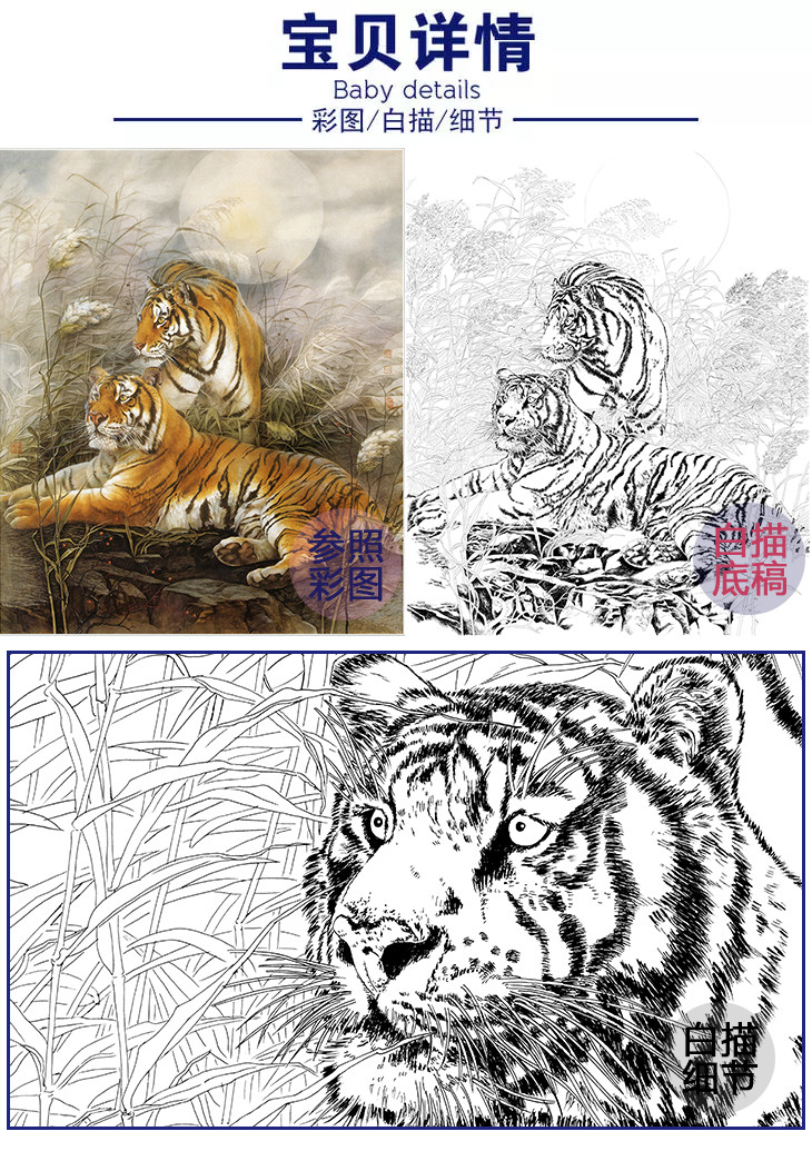 工笔动物白描底稿-纪淑文-老虎-斗方小品册页-lq08