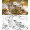 横幅工笔动物白描底稿-纪淑文-老虎-LQ06 商品缩略图0