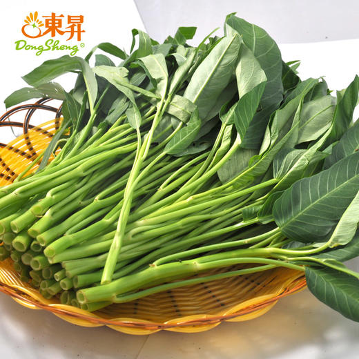 东升农场 通菜 空心菜竹叶菜 华东地区蔬菜新鲜配送 300g