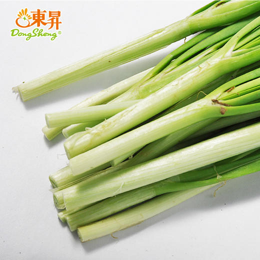 东升农场 韭菜 懒人菜 扁菜 广州蔬菜新鲜配送 150g 商品图1