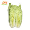【特惠】东升农场  银丝王菜 青菜 广州新鲜蔬菜配送 300g 商品缩略图1