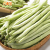 东升农场 四季豆 玉豆 角豆 扁豆 广州蔬菜新鲜配送 300g 商品缩略图1