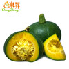 东升农场  青南瓜 万圣节南瓜灯 广州蔬菜配送 1000g 商品缩略图1