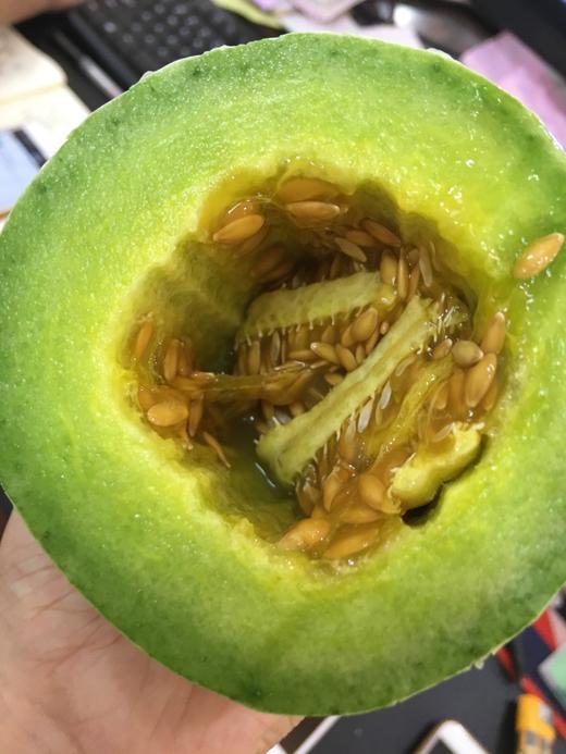 宏丰精选羊角蜜甜瓜香味浓郁口感甜很细腻松口新鲜应季水果小甜瓜